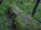 fairygarden2_small.jpg
